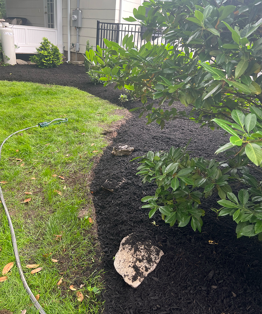 https://realtreelandscaping.com/wp-content/uploads/2025/04/treeservice1.jpg