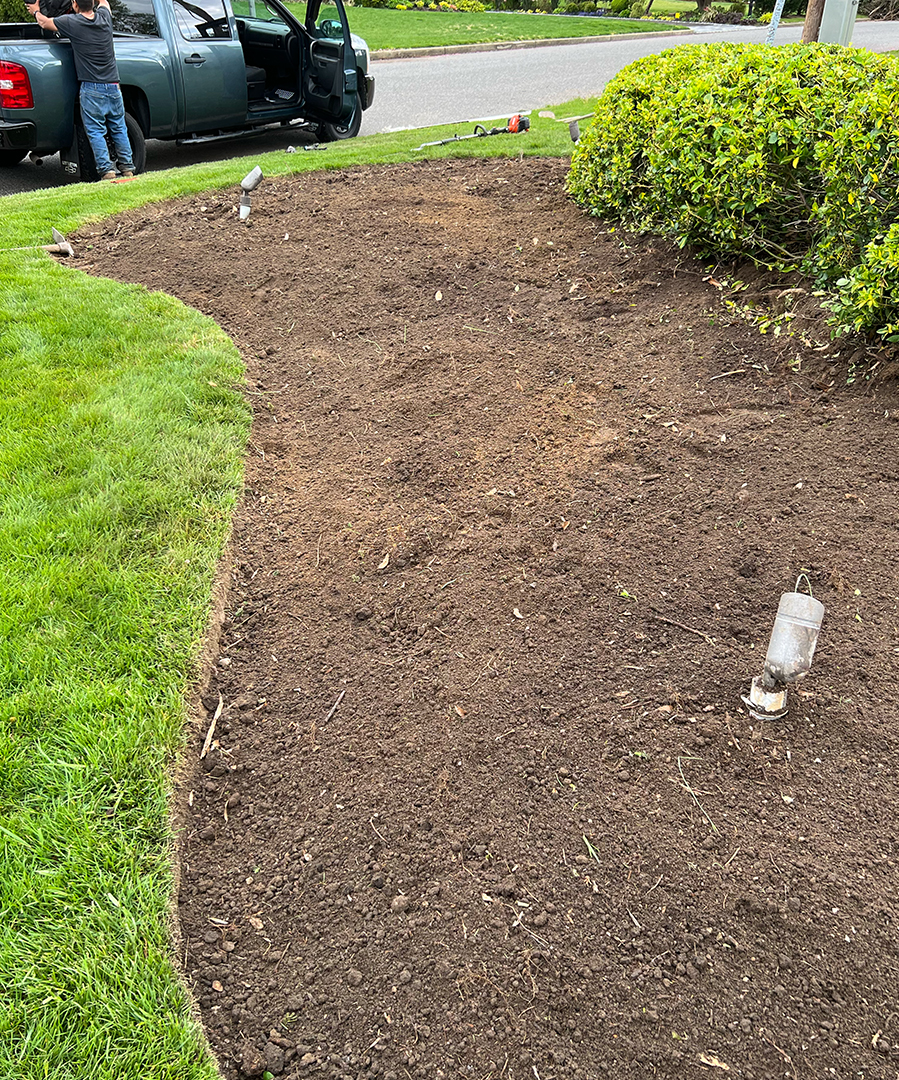 https://realtreelandscaping.com/wp-content/uploads/2025/04/treeservices2.jpg