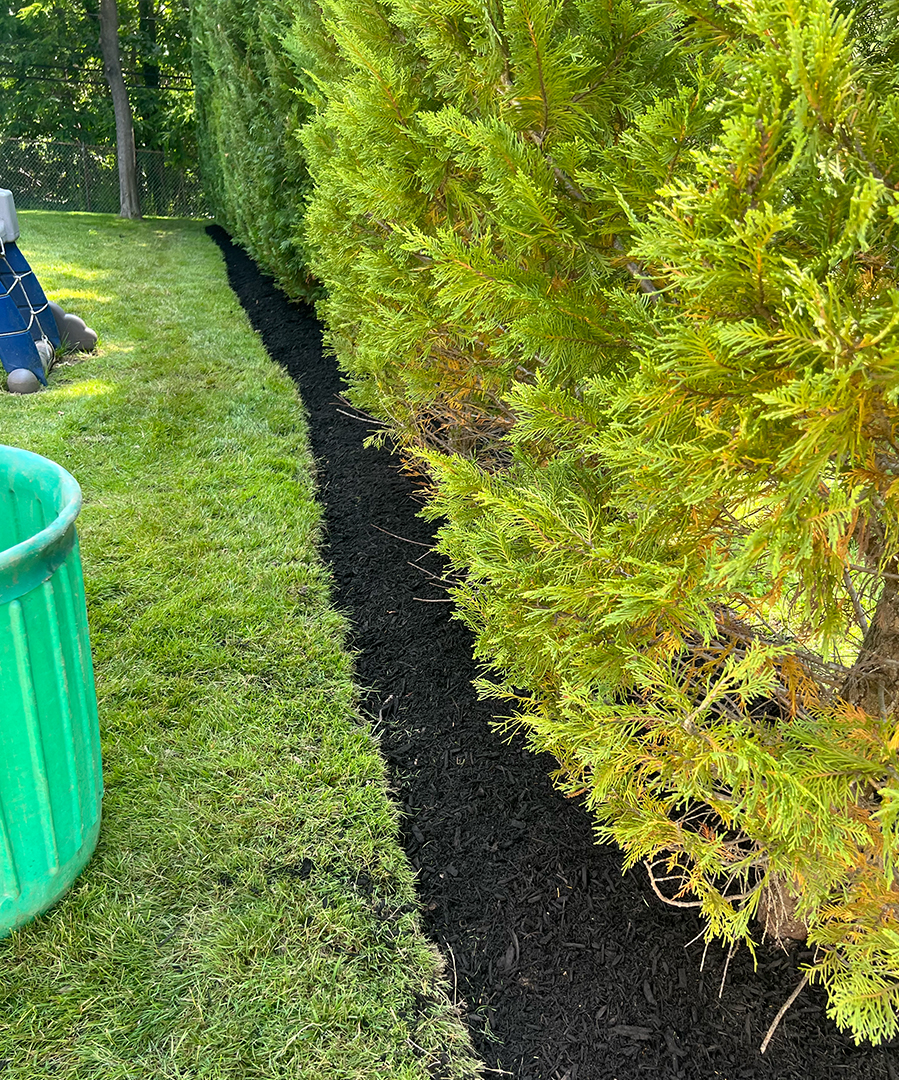 https://realtreelandscaping.com/wp-content/uploads/2025/04/treeservices3.jpg